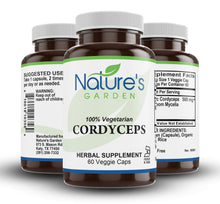 Load image into Gallery viewer, Cordyceps Mushroom Supplement - 60 Veggie Caps