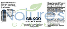 Load image into Gallery viewer, Ginkgo Extract Supplement (Alcohol Free) - 1 oz Liquid Single Herb
