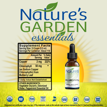 Load image into Gallery viewer, CHLOROPHYLL Extract Supplement (Alcohol Free) - 2 oz Liquid Herbal Formula