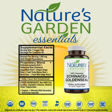 Load image into Gallery viewer, Echinancea-Goldenseal Supplement - 60 Liquid Veggie Caps
