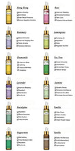 Load image into Gallery viewer, PHATOIL 10ML with Dropper Lavender Eucalyptus Vanilla Pure Natural Essential Oils Rose Jasmine Ylang Ylang Diffuser Aroma Oil