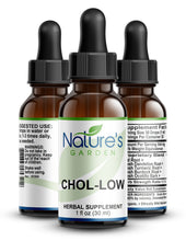 Load image into Gallery viewer, CHOL-LOW  - 1 oz Liquid Herbal Formula
